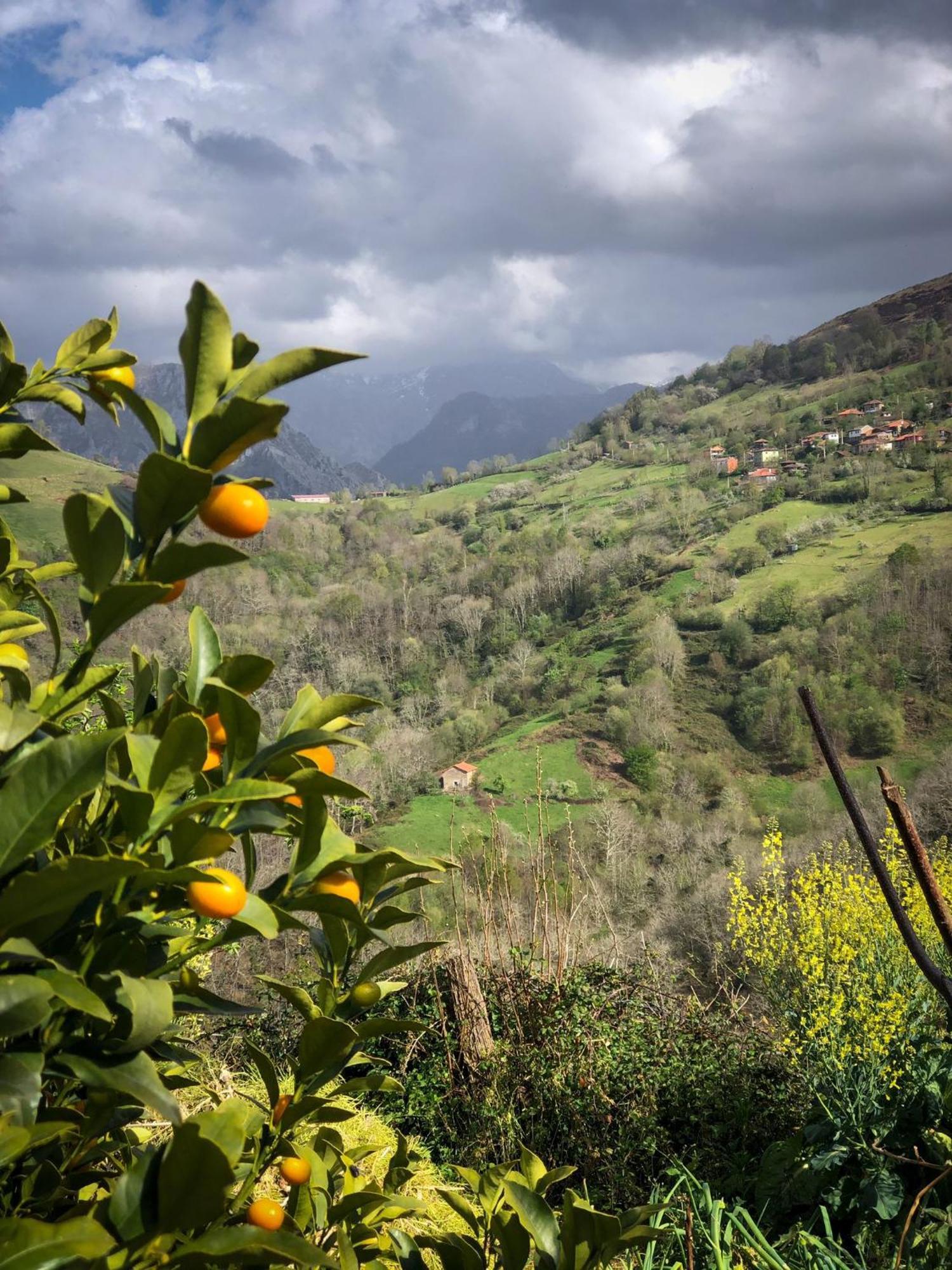 Vila El Refugio Del Busgosu Pen Exteriér fotografie